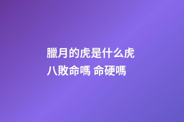 臘月的虎是什么虎 八敗命嗎 命硬嗎